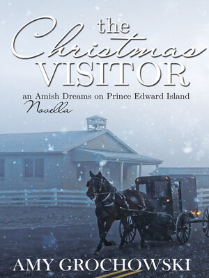 cover image of The Christmas Visitor